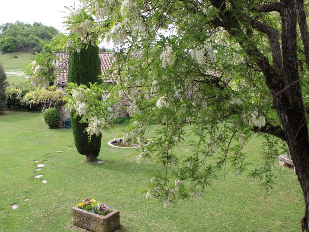 Chambre D'Hote La Beaudine Forcalquier Exterior foto